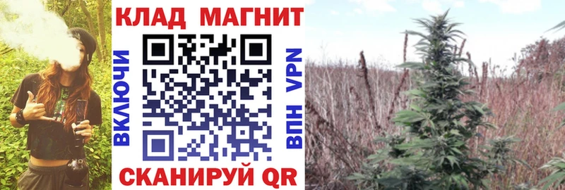 Где найти наркотики Петропавловск-Камчатский Марихуана Меф Кокаин A-PVP ГЕРОИН ГАШИШ