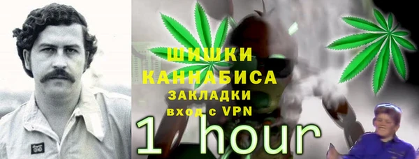 метадон Ладушкин