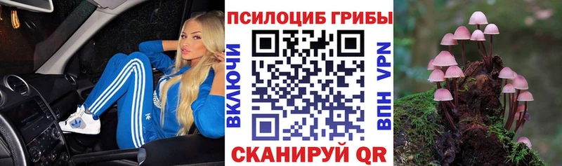 мега вход  Петропавловск-Камчатский  Галлюциногенные грибы ЛСД 