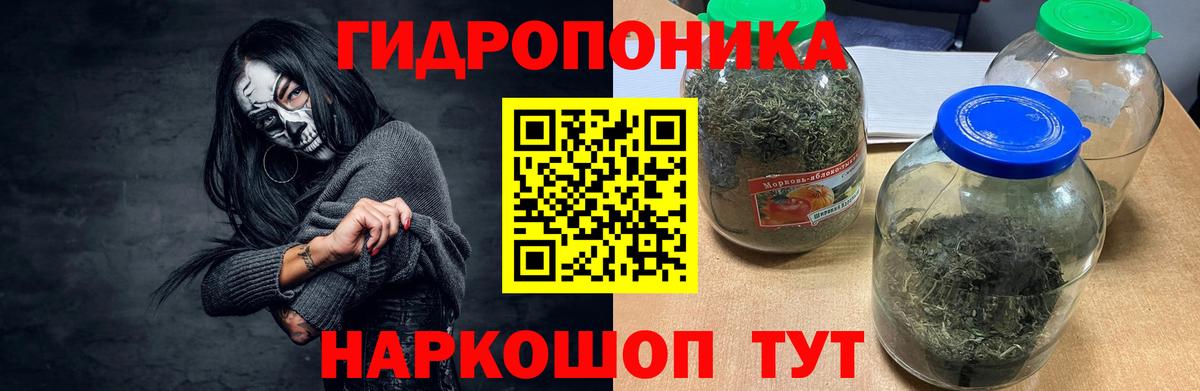 Петропавловск-Камчатский  Каннабис семена  Вход с VPN  Конопля VHQ 